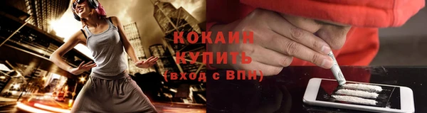 амф Магас