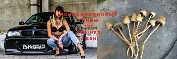 наркотики Щигры