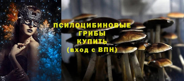 амф Магас