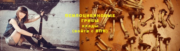 амф Магас